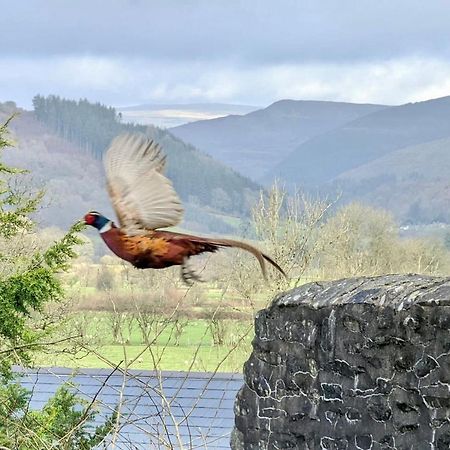 Aberhiriath Hall - The Old Georgian Manor House By The River Dyfi Cemmaes Eksteriør bilde