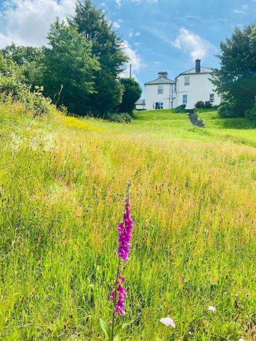 Aberhiriath Hall - The Old Georgian Manor House By The River Dyfi Cemmaes Eksteriør bilde
