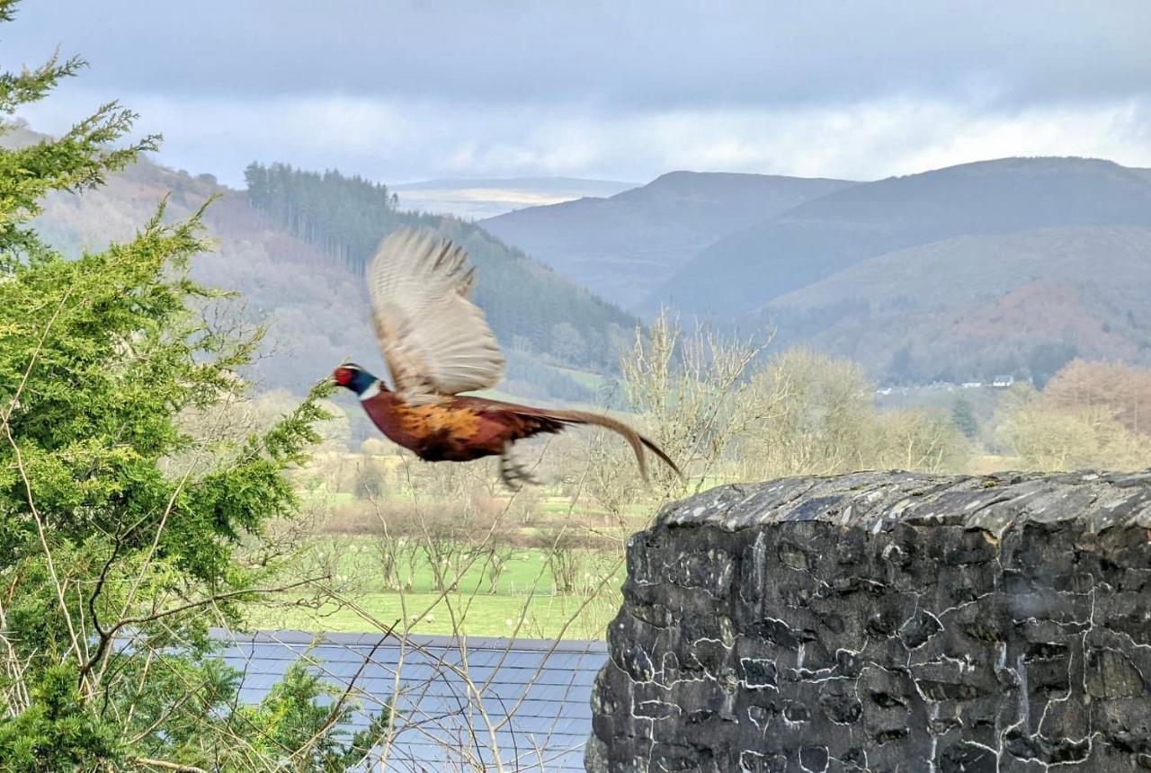 Aberhiriath Hall - The Old Georgian Manor House By The River Dyfi Cemmaes Eksteriør bilde
